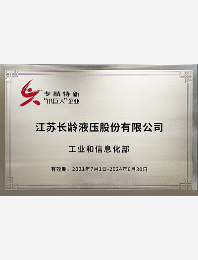 專精特新“小巨人”企業(yè)